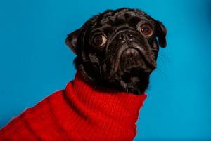 Screen Shot 2016-08-02 at 13.16.34