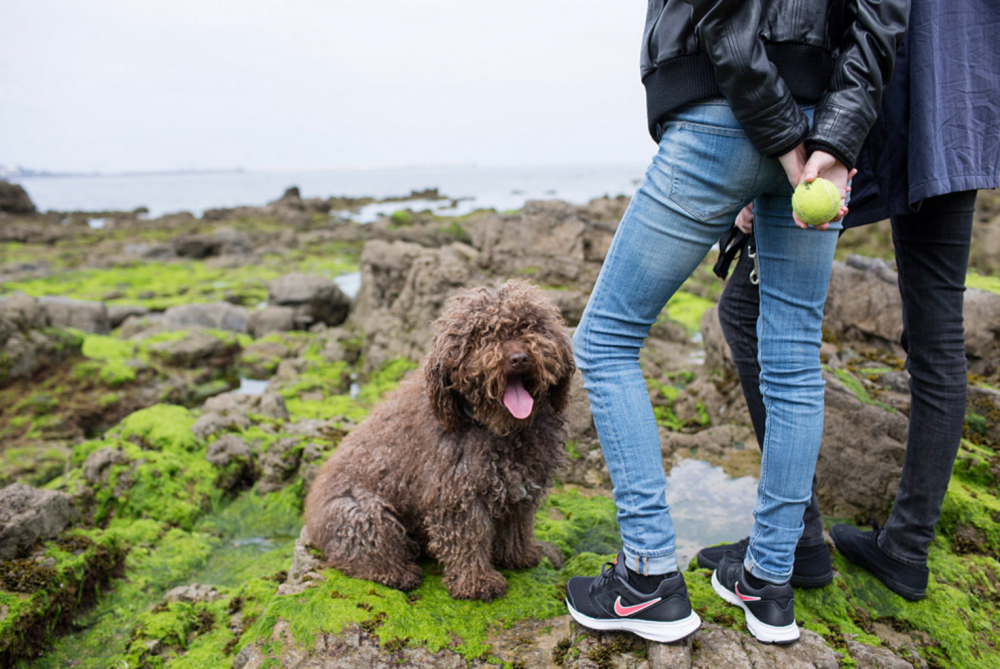 Screen Shot 2016-08-02 at 13.18.46